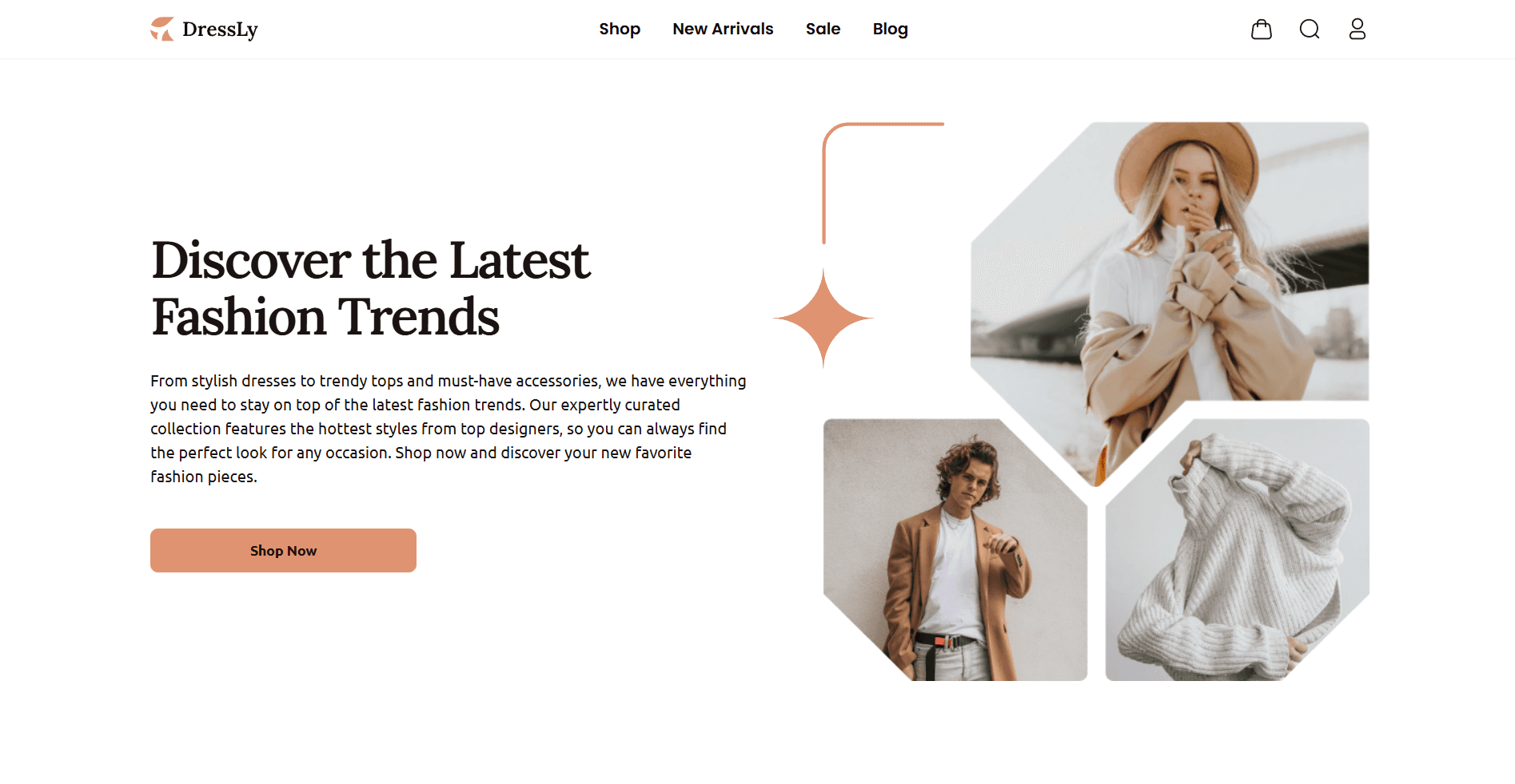 Preview of Dressly project